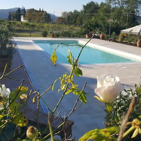 Agriturismo Ai Mandrioli Lastra a Signa